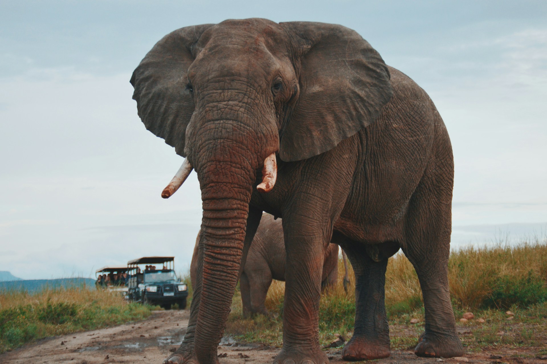 A private safari in Amboseli